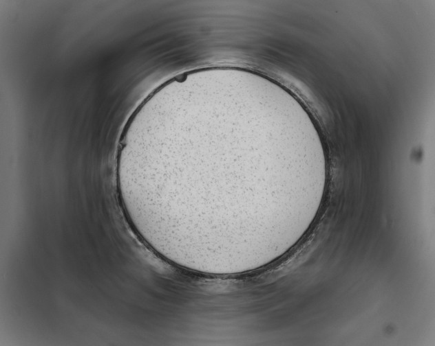 X0000101191236200807250955