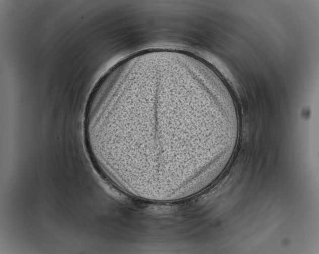X0000101191237200807250955