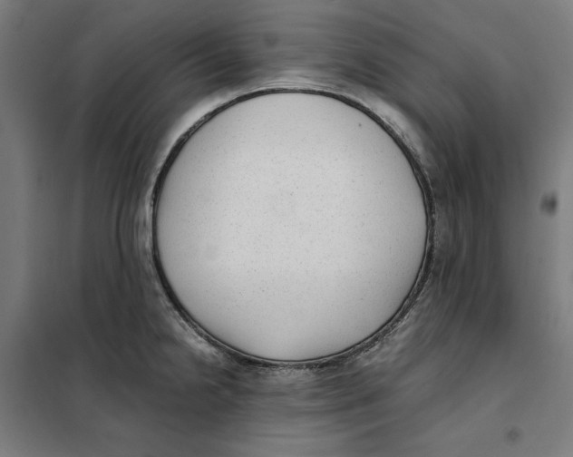 X0000101191238200807250955