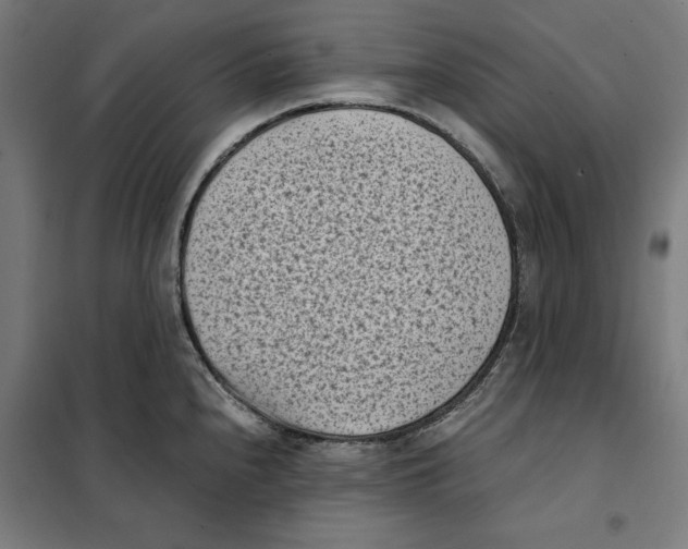 X0000101191240200807250955