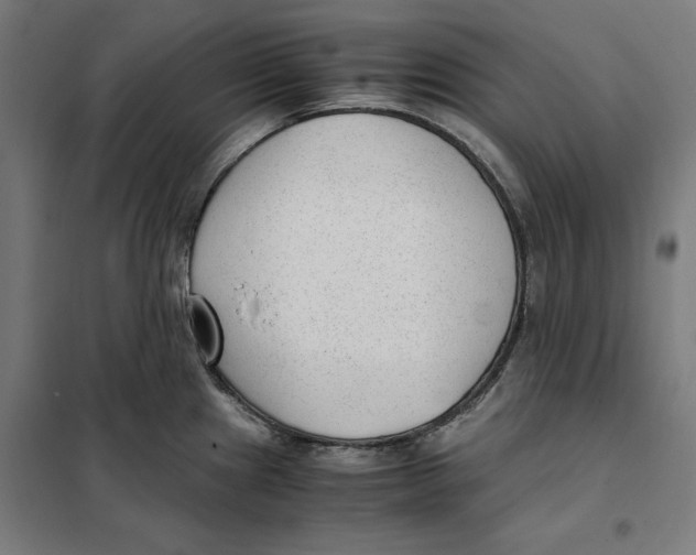X0000101191241200807250955
