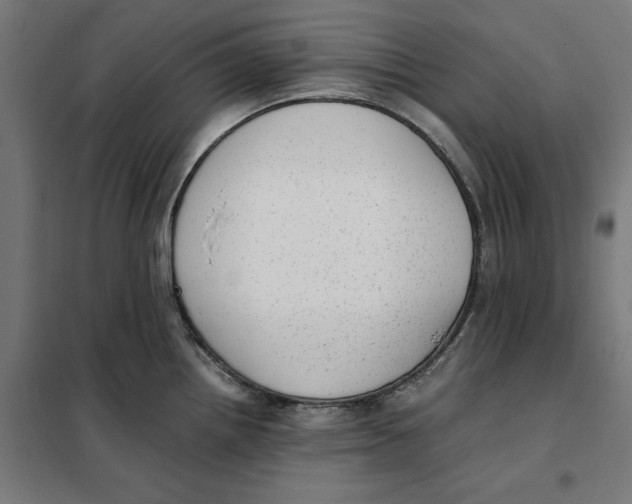 X0000101191242200807250955
