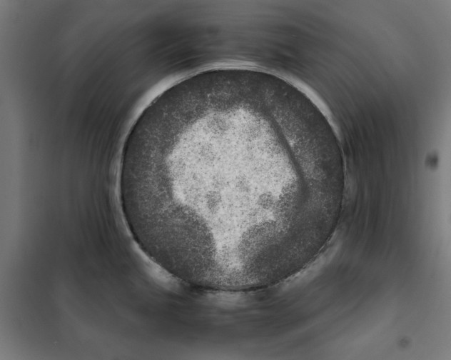 X0000101191245200807250955