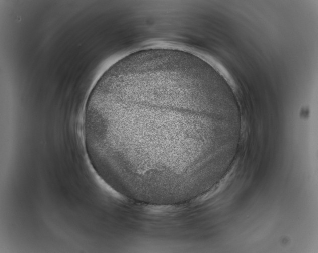 X0000101191247200807250955