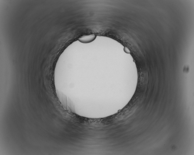X0000101191249200807250955