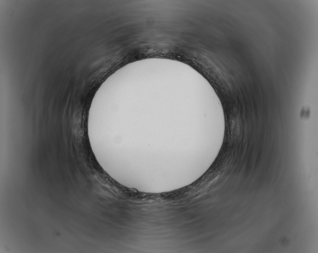 X0000101191250200807250955