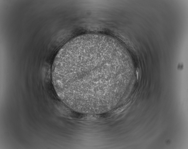 X0000101191251200807250955