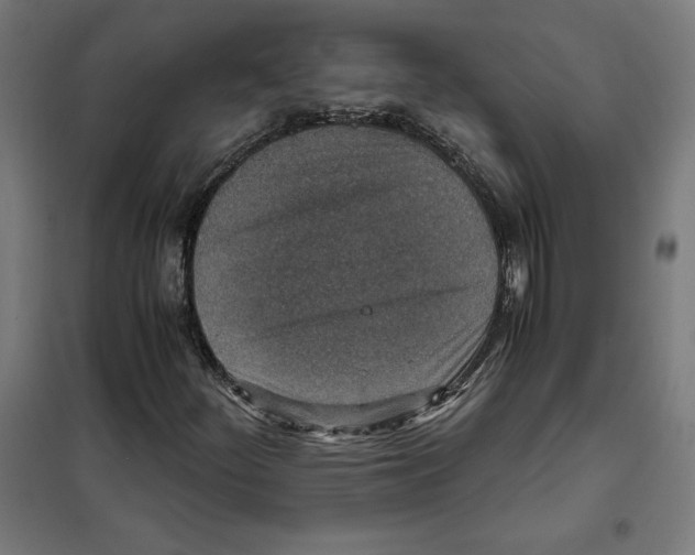 X0000101191252200807250955
