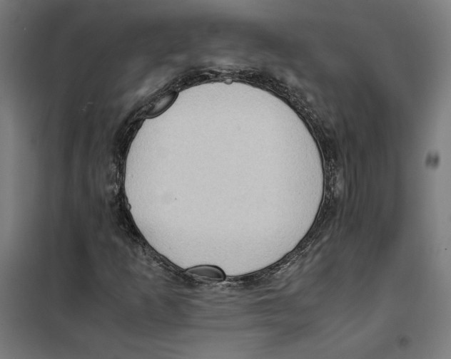 X0000101191253200807250954