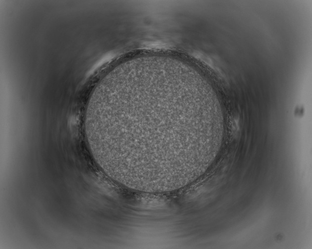 X0000101191254200807250954