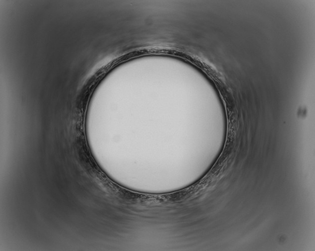 X0000101191255200807250954
