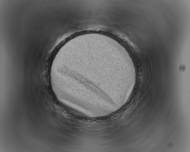 X0000101191256200807250954