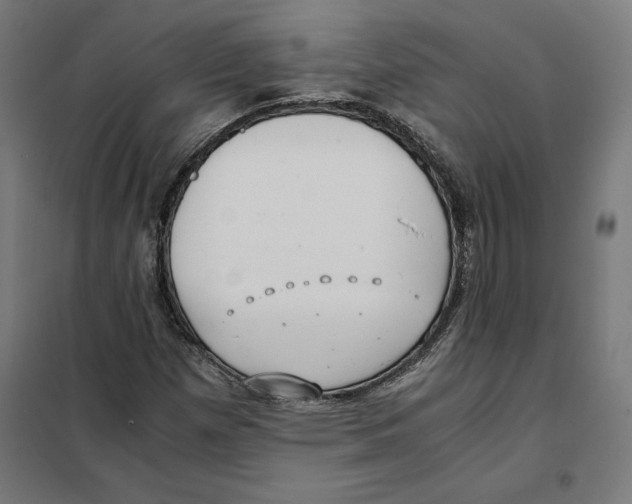 X0000101191257200807250954