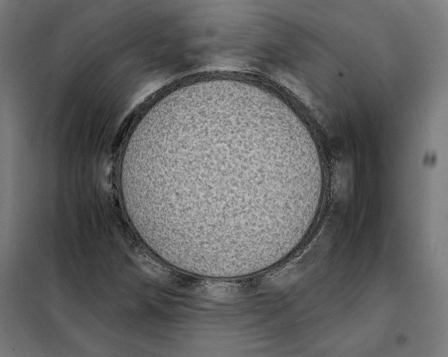 X0000101191258200807250954