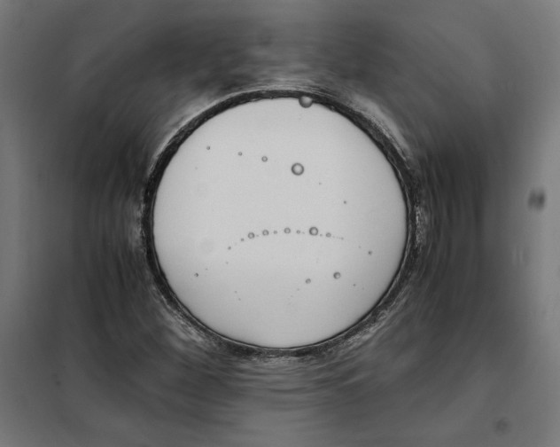 X0000101191260200807250954