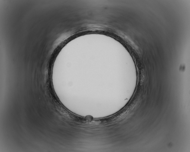 X0000101191261200807250954
