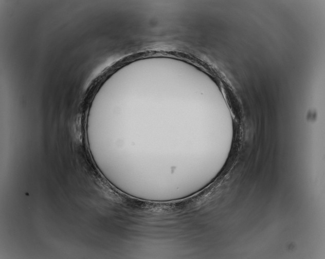 X0000101191262200807250954