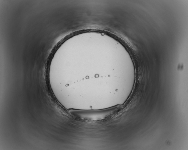X0000101191264200807250954