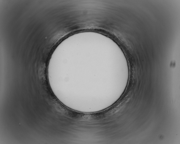 X0000101191265200807250954