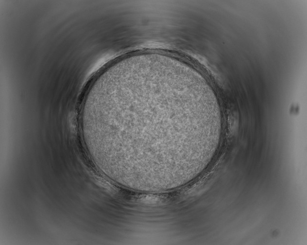 X0000101191266200807250954