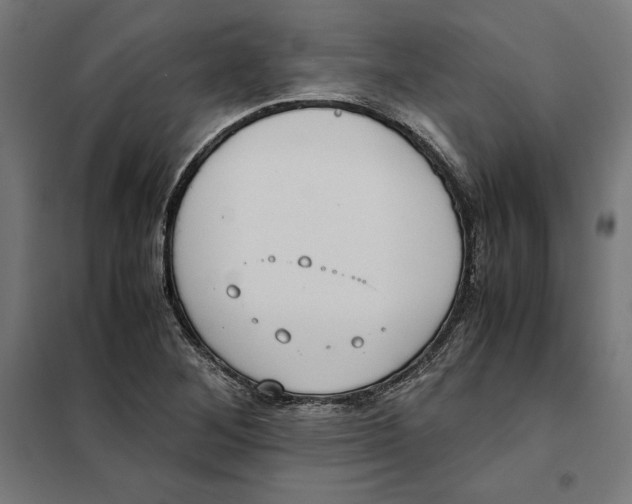 X0000101191268200807250954