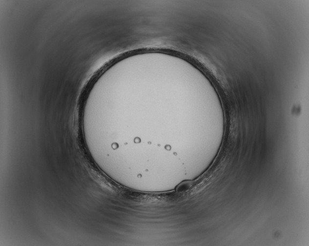 X0000101191270200807250954