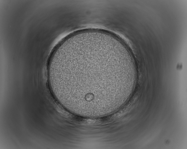 X0000101191271200807250954