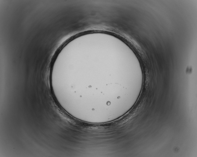 X0000101191272200807250954
