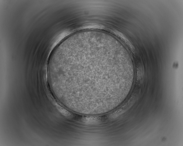 X0000101191274200807250954