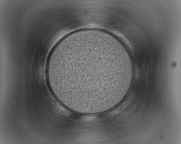X0000101191278200807250954