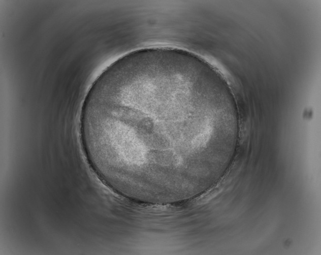 X0000101191279200807250954