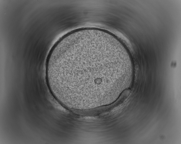 X0000101191280200807250954