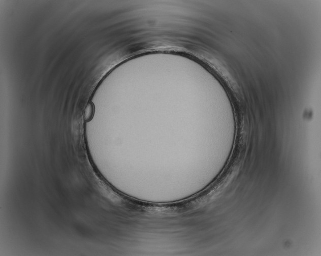 X0000101191281200807250954
