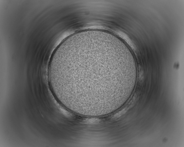 X0000101191282200807250954