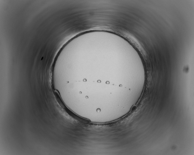 X0000101191284200807250954
