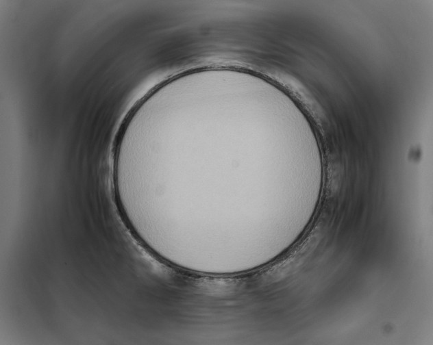 X0000101191286200807250954