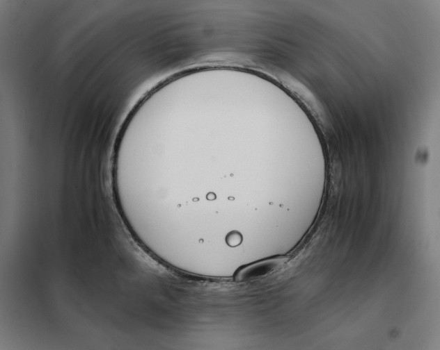 X0000101191288200807250954