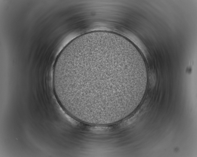 X0000101191290200807250954