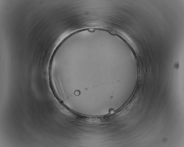 X0000101191291200807250954