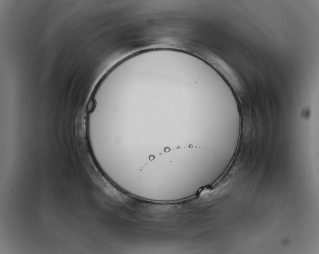 X0000101191292200807250954