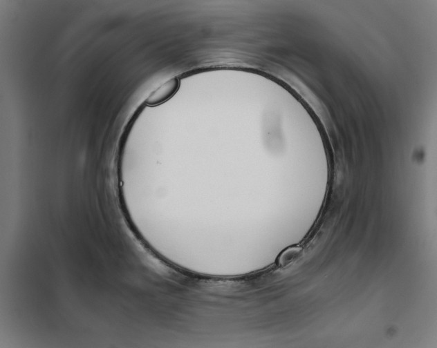 X0000101191293200807250954