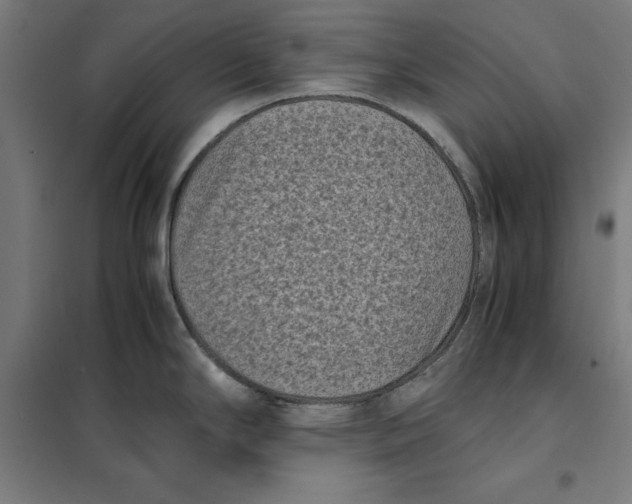 X0000101191294200807250954