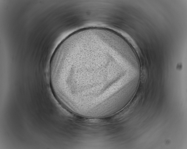 X0000101191295200807250954
