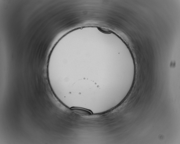 X0000101191296200807250954