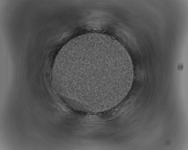 X0000101191297200807250953