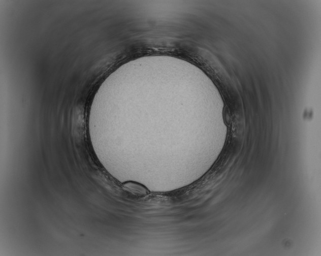 X0000101191298200807250953