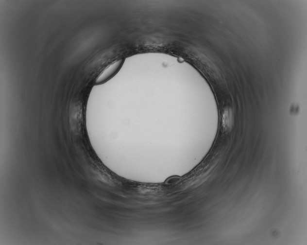 X0000101191299200807250953