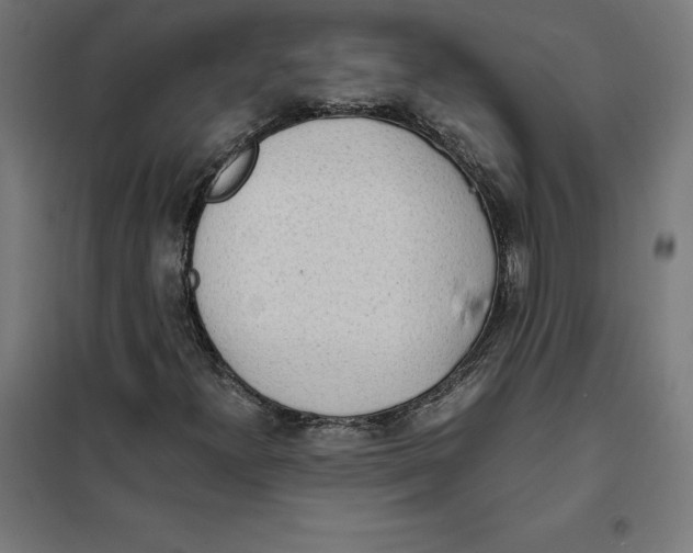 X0000101191300200807250953