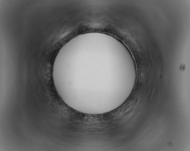 X0000101191301200807250953