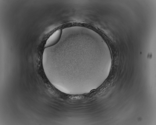 X0000101191303200807250953